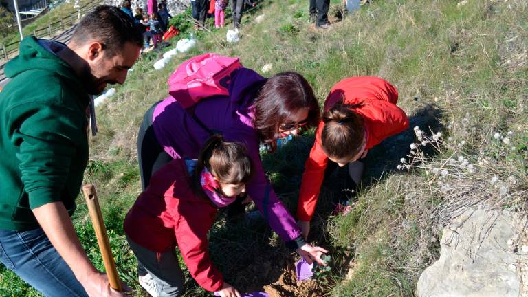 Plantar un árbol para el futuro - GEA - Asociación de Voluntariado