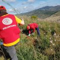 Limpieza en el monte Victoria – GEA Málaga