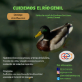Cuidamos el río Genil, Gea Granada